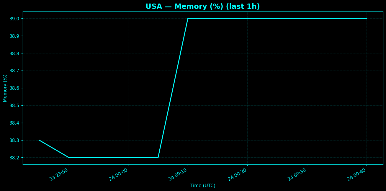 Chart representing RAM utilization on USA regions server in the past hour.